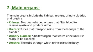 Urinary system pptx (by Mr syed samad).pptx
