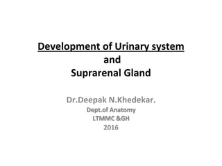 Development of Urinary system
and
Suprarenal Gland
Dr.Deepak N.Khedekar.
Dept.of Anatomy
LTMMC &GH
2016
 