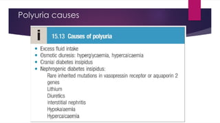 Comprehensive Overview of Urinary System Symptoms and Chronic Kidney ...