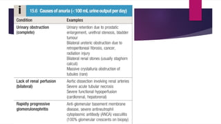 Comprehensive Overview of Urinary System Symptoms and Chronic Kidney ...