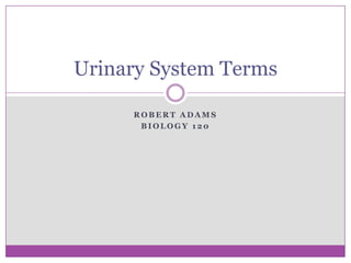 Robert Adams Biology 120 Urinary System Terms 
