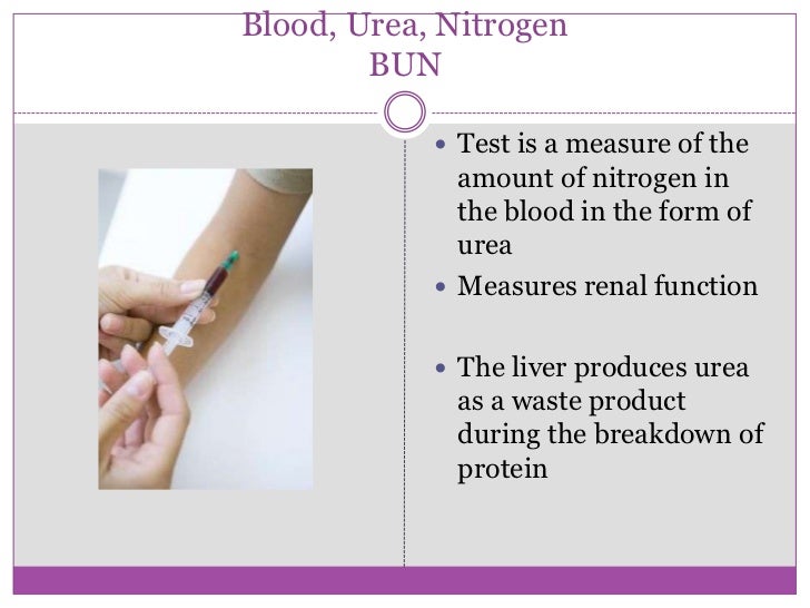 Urinary system terms