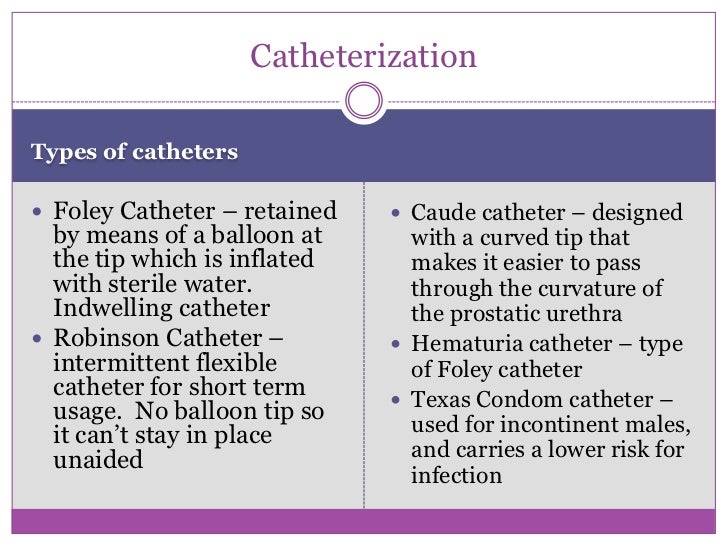 Urinary system terms