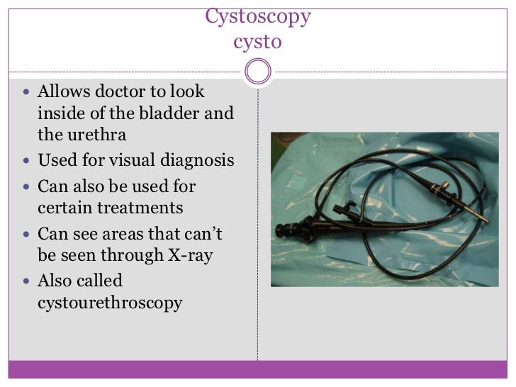 Urinary system terms