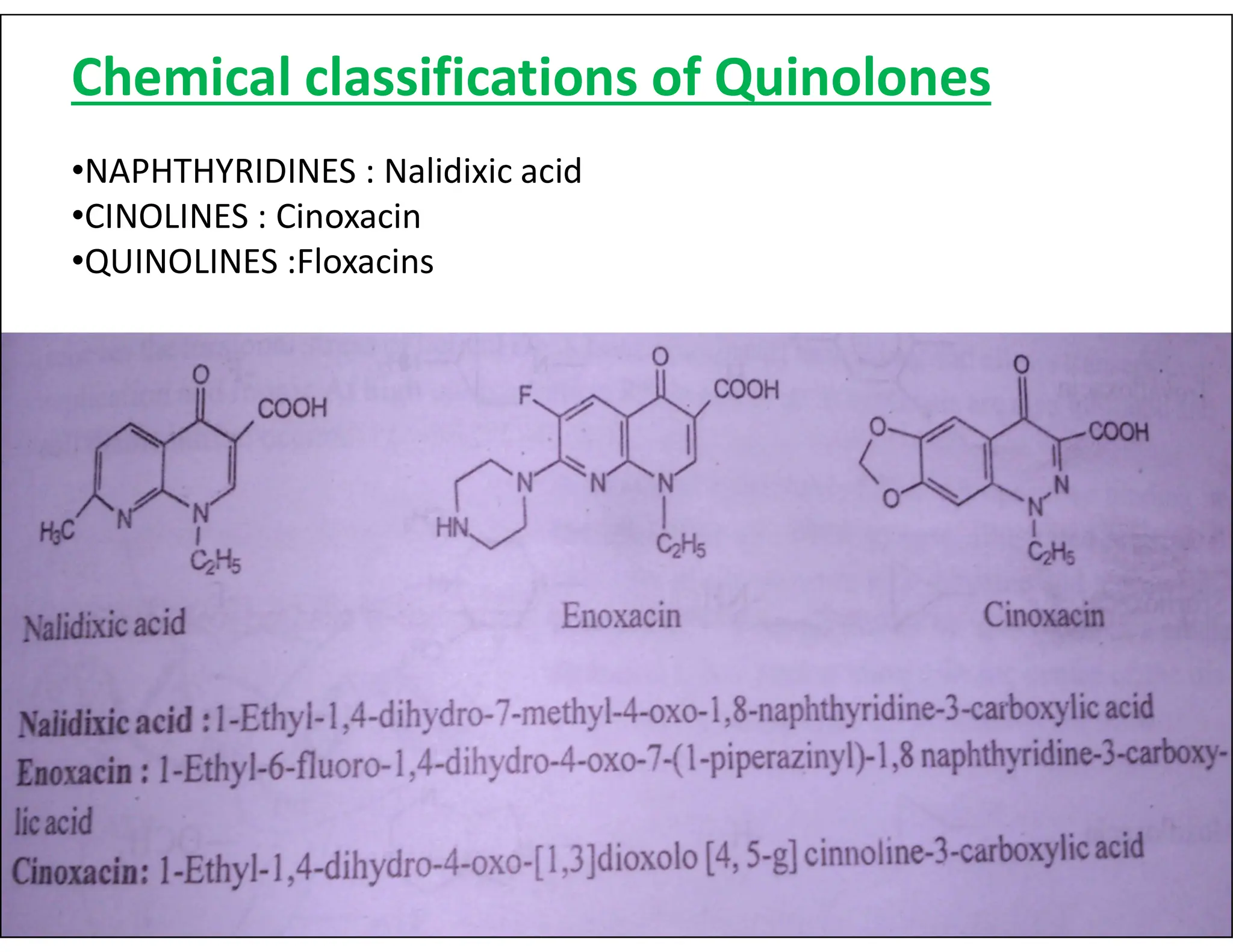 Urinary Tract Anti-infective Agents.pdf quinoline drugs | PDF