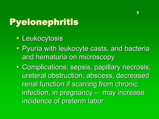 Pyuria Pregnancy Urinary tract disorders | PPT