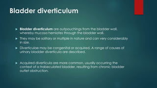 Bladder diverticulum
 Bladder diverticulum are outpouchings from the bladder wall,
whereby mucosa herniates through the bladder wall.
 They may be solitary or multiple in nature and can very considerably
in size.
 Diverticulae may be congenital or acquired. A range of causes of
urinary bladder diverticula are described.
 Acquired diverticula are more common, usually occurring the
context of a trabeculated bladder, resulting from chronic bladder
outlet obstruction.
 