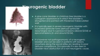 Neurogenic bladder
 A pine cone bladder or christmas tree bladder is a
cystogram appearance in which the bladder is
elongated and pointed with thickened trabeculated
wall.
 It is typically seen in severe neurogenic bladder with
increased sphincter tone (detrusor sphincter
dyssynergia) due to suprasacral lesions (above S2-S4) or
epiconal lesions (in and around S2-S4).
 It is however not pathognomonic of a neurogenic
bladder and can be seen in patients with lesions
anywhere along the sacral reflex arc leading to poor
detrusor compliance. Occasionally it is also seen in
bladder neck obstruction of a non-neurogenic cause.
 