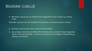 Bladder calculi
 Bladder calculi occur either from migrated renal calculi or urinary
stasis.
Bladder calculi can be divided into primary and secondary stones:
 primary: stones form de novo in the bladder
 secondary: stones are either from renal calculi which have migrated
down into the bladder, or from concretions on foreign material (e.g.
urinary catheters)
 