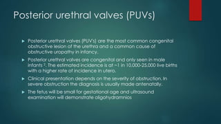 Posterior urethral valves (PUVs)
 Posterior urethral valves (PUV's) are the most common congenital
obstructive lesion of the urethra and a common cause of
obstructive uropathy in infancy.
 Posterior urethral valves are congenital and only seen in male
infants 2. The estimated incidence is at ~1 in 10,000-25,000 live births
with a higher rate of incidence in utero.
 Clinical presentation depends on the severity of obstruction. In
severe obstruction the diagnosis is usually made antenatally.
 The fetus will be small for gestational age and ultrasound
examination will demonstrate oligohydramnios
 