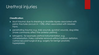 Urethral injuries
Classification:
 blunt trauma: due to shearing or straddle injuries associated with
pelvic fractures (occurs in ~10%) often associated with bladder
injury.
 penetrating trauma: e.g. stab wounds, gunshot wounds, dog bites
(more commonly affect the anterior urethra)
 iatrogenic, for example urethral instrumentation, e.g.
catheterisation, Foley catheter removal without balloon deflation,
cystoscopy,post-surgical (e.g. surgery for benign prostatic
hyperplasia)
 