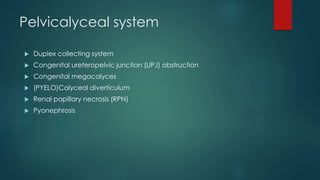 Pelvicalyceal system
 Duplex collecting system
 Congenital ureteropelvic junction (UPJ) obstruction
 Congenital megacalyces
 (PYELO)Calyceal diverticulum
 Renal papillary necrosis (RPN)
 Pyonephrosis
 