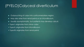 (PYELO)Calyceal diverticulum
 Outpouching of calyx into corticomedullary region.
 May also arise from renal pelvis or an infundibulum.
 Usually asymptomatic, but patients may develop calculi.
• Type I: originates from minor calyx
• Type II: originates from infundibulum
• Type III: originates from renal pelvis
 