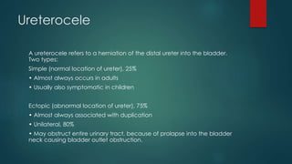Ureterocele
A ureterocele refers to a herniation of the distal ureter into the bladder.
Two types:
Simple (normal location of ureter), 25%
• Almost always occurs in adults
• Usually also symptomatic in children
Ectopic (abnormal location of ureter), 75%
• Almost always associated with duplication
• Unilateral, 80%
• May obstruct entire urinary tract, because of prolapse into the bladder
neck causing bladder outlet obstruction.
 
