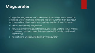 Megaureter
Congenital megaureter is a 'basket-term' to encompass causes of an
enlarged ureter which are intrinsic to the ureter, rather than as a result
of a more distal abnormality; e.g. bladder, urethra. It encompasses:
 obstructed primary megaureter
 refluxing primary megaureter (although vesico-ureteric reflux (VUR) is
a cause of primary congenital megaureter it is usually considered
separately)
 non-refluxing unobstructed primary megaureter
 