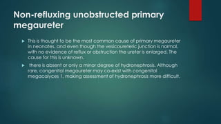 Non-refluxing unobstructed primary
megaureter
 This is thought to be the most common cause of primary megaureter
in neonates, and even though the vesicoureteric junction is normal,
with no evidence of reflux or obstruction the ureter is enlarged. The
cause for this is unknown.
 there is absent or only a minor degree of hydronephrosis. Although
rare, congenital megaureter may co-exist with congenital
megacalyces 1, making assessment of hydronephrosis more difficult.
 