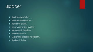 Bladder
 Bladder exstrophy.
 Bladder diverticulum.
 Bacterial cystitis.
 Emphysematous cystitis.
 Neurogenic bladder.
 Bladder calculi.
 Malignant bladder neoplasm.
 Bladder injuries.
 