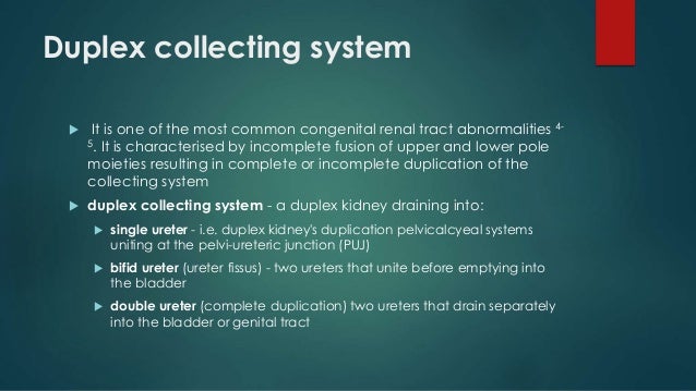 Urinary tract imaging and pathology