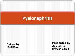 Guided by
Dr.T.Venu
Pyelonephritis
Presented by
J. Vishnu
RT/2016/604
 