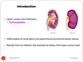 Introduction
11/15/2016Pyelonephritis3
 Upper urinary tract Infections:
 Pyelonephritis
 Inflammation of renal pelvis and parenchyma (functional kidney tissue)
 Results from an infection that ascends to kidney from lower urinary tract
 