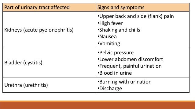 Simple Tutorial for Dummies: Signs And Symptoms Of Urinary ...