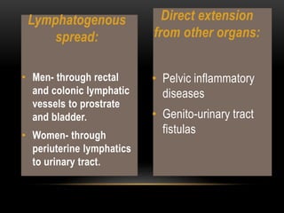 • Pelvic inflammatory
diseases
• Genito-urinary tract
fistulas
• Men- through rectal
and colonic lymphatic
vessels to prostrate
and bladder.
• Women- through
periuterine lymphatics
to urinary tract.
Lymphatogenous
spread:
Direct extension
from other organs:
 