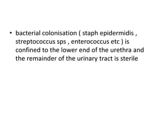 • bacterial colonisation ( staph epidermidis ,
streptococcus sps , enterococcus etc ) is
confined to the lower end of the urethra and
the remainder of the urinary tract is sterile
 