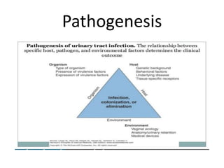 Pathogenesis
 