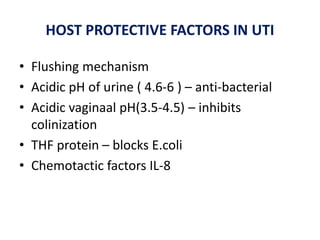 HOST PROTECTIVE FACTORS IN UTI
• Flushing mechanism
• Acidic pH of urine ( 4.6-6 ) – anti-bacterial
• Acidic vaginaal pH(3.5-4.5) – inhibits
colinization
• THF protein – blocks E.coli
• Chemotactic factors IL-8
 