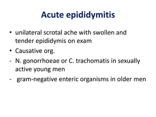 Acute epididymitis
• unilateral scrotal ache with swollen and
tender epididymis on exam
• Causative org.
- N. gonorrhoeae or C. trachomatis in sexually
active young men
- gram-negative enteric organisms in older men
 