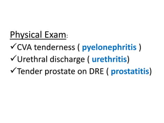 Physical Exam:
CVA tenderness ( pyelonephritis )
Urethral discharge ( urethritis)
Tender prostate on DRE ( prostatitis)
 