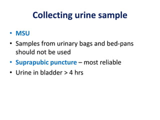 Collecting urine sample
• MSU
• Samples from urinary bags and bed-pans
should not be used
• Suprapubic puncture – most reliable
• Urine in bladder > 4 hrs
 