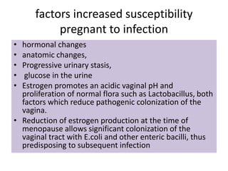 factors increased susceptibility
pregnant to infection
• hormonal changes
• anatomic changes,
• Progressive urinary stasis,
• glucose in the urine
• Estrogen promotes an acidic vaginal pH and
proliferation of normal flora such as Lactobacillus, both
factors which reduce pathogenic colonization of the
vagina.
• Reduction of estrogen production at the time of
menopause allows significant colonization of the
vaginal tract with E.coli and other enteric bacilli, thus
predisposing to subsequent infection
 