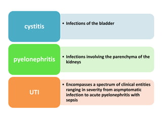 • Infections of the bladder
cystitis
• Infections involving the parenchyma of the
kidneyspyelonephritis
• Encompasses a spectrum of clinical entities
ranging in severity from asymptomatic
infection to acute pyelonephritis with
sepsis
UTI
 