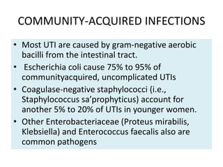 COMMUNITY-ACQUIRED INFECTIONS
• Most UTI are caused by gram-negative aerobic
bacilli from the intestinal tract.
• Escherichia coli cause 75% to 95% of
communityacquired, uncomplicated UTIs
• Coagulase-negative staphylococci (i.e.,
Staphylococcus sa’prophyticus) account for
another 5% to 20% of UTIs in younger women.
• Other Enterobacteriaceae (Proteus mirabilis,
Klebsiella) and Enterococcus faecalis also are
common pathogens
 