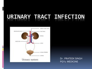 URINARY TRACT INFECTION
Dr . PRATEEK SINGH
PGY1 MEDICINE
 