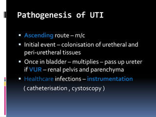 Pathogenesis of UTI
 Ascending route – m/c
 Initial event – colonisation of uretheral and
peri-uretheral tissues
 Once in bladder – multiplies – pass up ureter
if VUR – renal pelvis and parenchyma
 Healthcare infections – instrumentation
( catheterisation , cystoscopy )
 