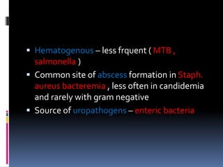  Hematogenous – less frquent ( MTB ,
salmonella )
 Common site of abscess formation in Staph.
aureus bacteremia , less often in candidemia
and rarely with gram negative
 Source of uropathogens – enteric bacteria
 