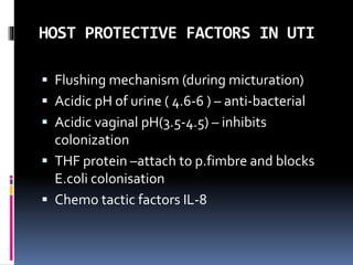 HOST PROTECTIVE FACTORS IN UTI
 Flushing mechanism (during micturation)
 Acidic pH of urine ( 4.6-6 ) – anti-bacterial
 Acidic vaginal pH(3.5-4.5) – inhibits
colonization
 THF protein –attach to p.fimbre and blocks
E.coli colonisation
 Chemo tactic factors IL-8
 