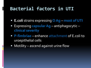Bacterial factors in UTI
 E.coli strains expressing O Ag – most of UTI
 Expressing capsular Ag – antiphagocytic –
clinical severity
 P-fimbriae – enhance attachment of E.coli to
uroepithelial cells
 Motility – ascend against urine flow
 