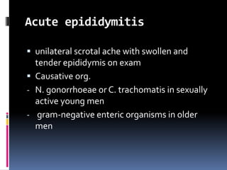 Acute epididymitis
 unilateral scrotal ache with swollen and
tender epididymis on exam
 Causative org.
- N. gonorrhoeae or C. trachomatis in sexually
active young men
- gram-negative enteric organisms in older
men
 