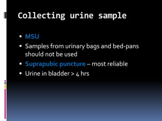 Collecting urine sample
 MSU
 Samples from urinary bags and bed-pans
should not be used
 Suprapubic puncture – most reliable
 Urine in bladder > 4 hrs
 