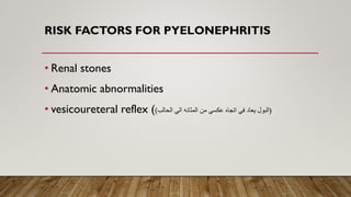 RISK FACTORS FOR PYELONEPHRITIS
• Renal stones
• Anatomic abnormalities
• vesicoureteral reflex ( ‫الحالب‬ ‫الي‬ ‫المثانه‬ ‫من‬ ‫عكسي‬ ‫اتجاه‬ ‫في‬ ‫يعاد‬ ‫البول‬
) )
 