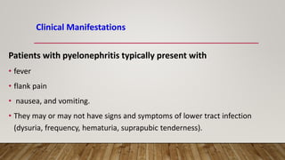 Clinical Manifestations
Patients with pyelonephritis typically present with
• fever
• flank pain
• nausea, and vomiting.
• They may or may not have signs and symptoms of lower tract infection
(dysuria, frequency, hematuria, suprapubic tenderness).
 