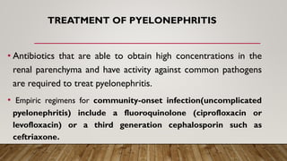 TREATMENT OF PYELONEPHRITIS
• Antibiotics that are able to obtain high concentrations in the
renal parenchyma and have activity against common pathogens
are required to treat pyelonephritis.
• Empiric regimens for community-onset infection(uncomplicated
pyelonephritis) include a fluoroquinolone (ciprofloxacin or
levofloxacin) or a third generation cephalosporin such as
ceftriaxone.
 