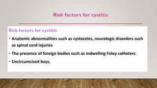 Risk factors for cystitis
Risk factors for cystitis
• Anatomic abnormalities such as cystoceles, neurologic disorders such
as spinal cord injuries
• The presence of foreign bodies such as indwelling Foley catheters.
• Uncircumcised boys.
 