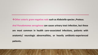 ❖Other enteric gram-negative rods such as Klebsiella species ,Proteus.
And Pseudomonas aeruginosa can cause urinary tract infection, but these
are most common in health care–associated infections, patients with
anatomic/ neurologic abnormalities, or heavily antibiotic-experienced
patients.
 