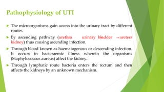 Pathophysiology of UTI
 The microorganisms gain access into the urinary tract by different
routes.
 By ascending pathway (urethra urinary bladder ureters
kidney) thus causing ascending infection.
 Through blood known as haematogenous or descending infection.
It occurs in bacteraemic illness wherein the organisms
(Staphylococcus aureus) affect the kidney.
 Through lymphatic route bacteria enters the rectum and then
affects the kidneys by an unknown mechanism.
 