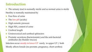 Introduction
 The urinary tract is normally sterile and so normal urine is sterile
Sterility is normally maintained by
 Free flow of urine
 The low pH (acidic)
 High osmotic pressure
 High NH3 content of urine
 Urethral length
 Ureterovesical and urethral sphincters
 Prostatic secretions (bacteriostatic) and the anti-bacterial
antibodies (by bladder mucus)
Infection occur mostly in lower UT rarely in upper UT / both
Mostly affects female (no prostate, pregnancy, short urethra)
 