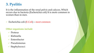3. Pyelitis
It is the inflammation of the renal pelvis and calyces, Which
occurs due to bacteria (Escherichia coli) It is more common in
women than in men.
 Escherichia coli (E.Coli) – most common
Other organisms include
 Proteus
 Klebsiella
 Enterobacter
 Pseudomonas
 Staphylococci
 